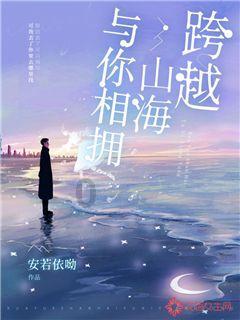 进击的飞机