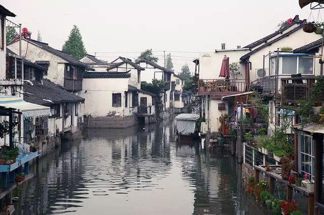 公主的夏季舞会